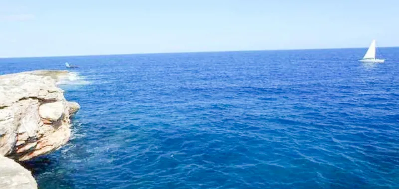 Double building plot on the first sea line in Cala d'Or — photo 3
