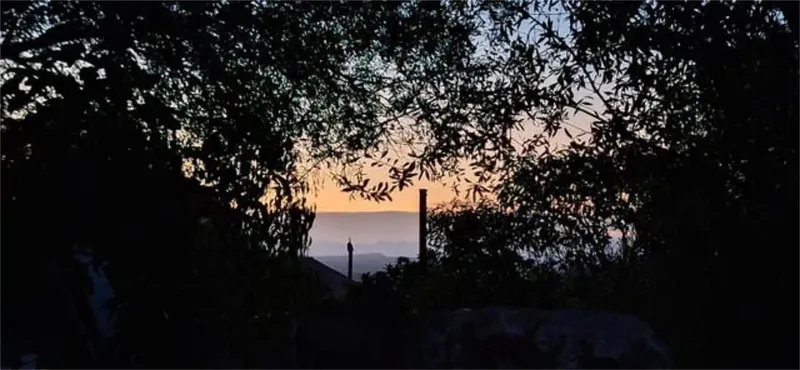For sale: part of a finca with a 55 m² cottage. Not mortgageable. — photo 4