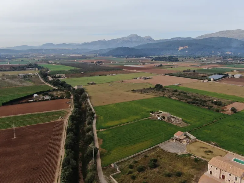 Land in Sa Pobla, Mallorca — photo 5