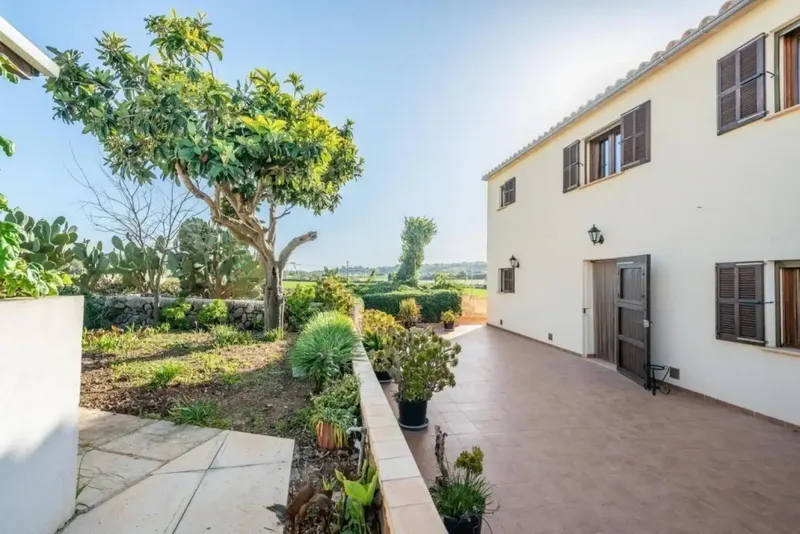 Available for rent from October 1, 2026. Charming country house for long-term rental amidst an orange plantation — photo 4