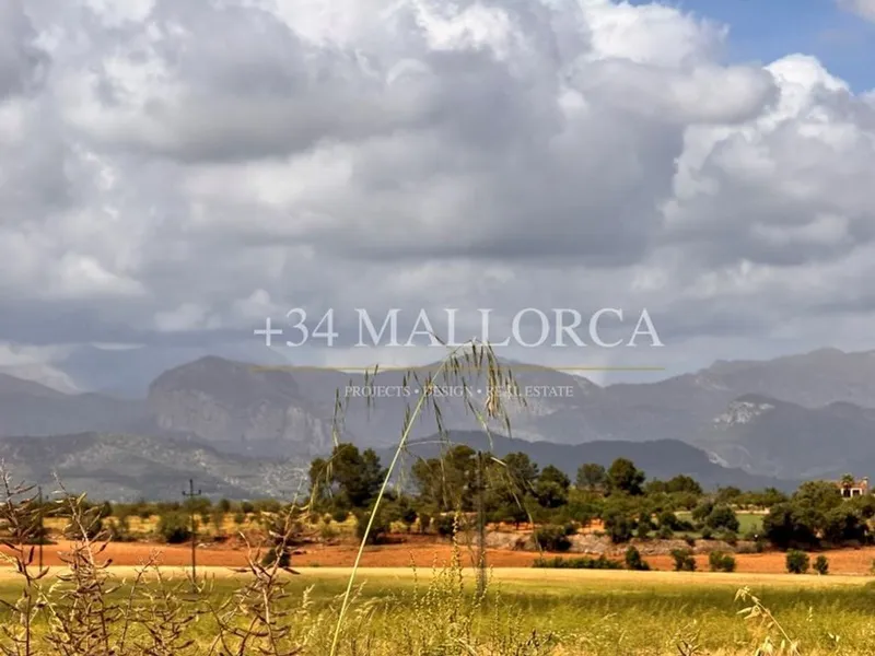 Apartment in Santa Eugènia, Province of Balearic Islands — photo 2