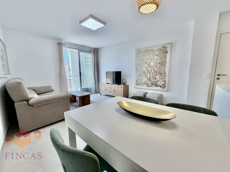 Jaume Balmes, penthouse for rent with solarium, parking – NOT AVAILABLE — photo 9