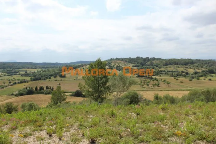 Rustic land for sale in Villafranca — photo 7