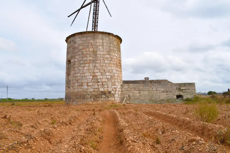 Fantastic rustic estate located in a quiet area of Sa Pobla, with a plot of 24,558 m2 and a basic project for the construction of — photo 11