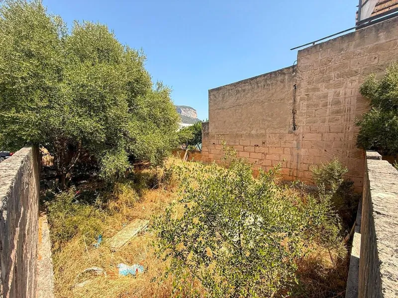 Land in Alaró, Province of Balearic Islands — photo 6