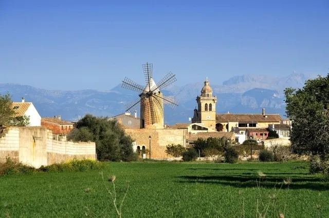 Exceptional country villa project with license for sale in Montuïri, Mallorca — photo 9