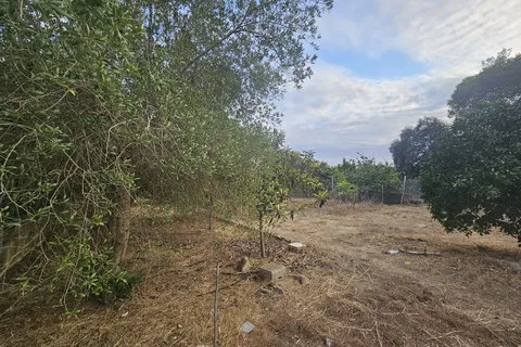 Finca in Sa Pobla, Mallorca — photo 11
