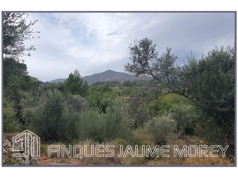 Rustic house — photo 7