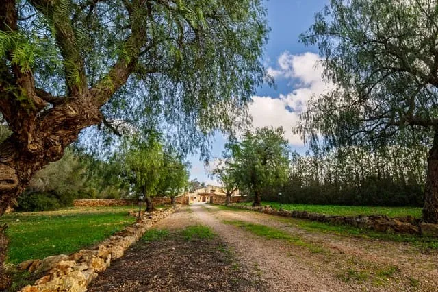 Finca/Country House for sale in Sencelles, Mallorca — photo 2