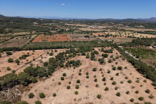 Cala Mandia, great building plot with recently granted building permit near Cala Mandia — photo 2