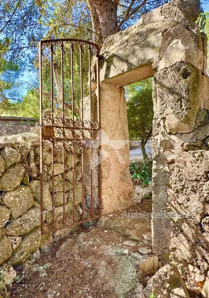 Authentic finca property with Mediterranean flair — photo 7