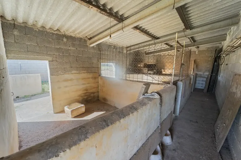 finca in Felanitx — photo 5