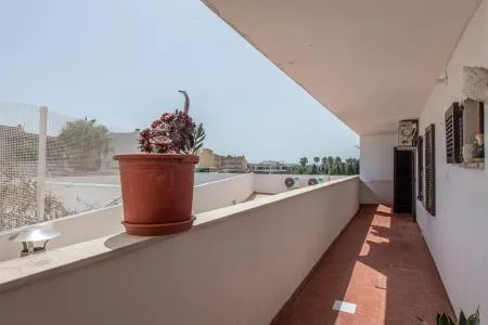 Apartment - Alcúdia (Ciutat d'Alcúdia) — photo 10