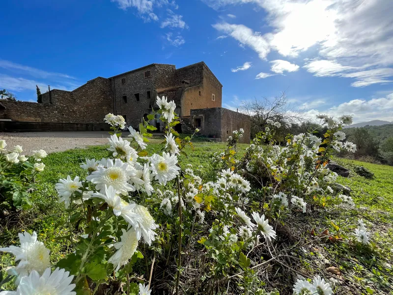 Historic rustic property with great potential and offers... — photo 1