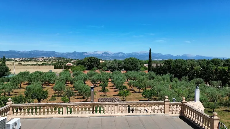 Rustic finca with pool, views and own olive oil production in Santa Eugènia — photo 11
