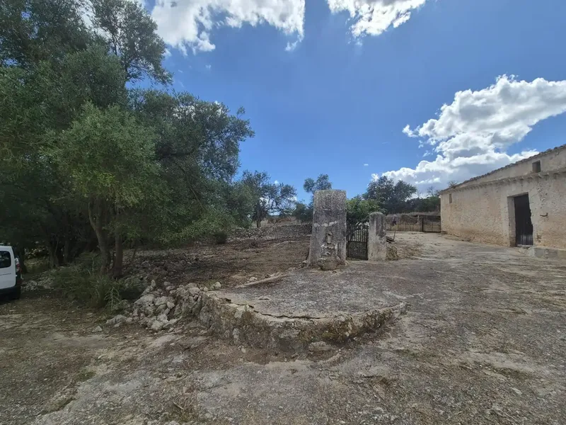 Impressive rustic estate located in the charming town of Sineu — photo 8