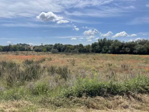 Plot — photo 1