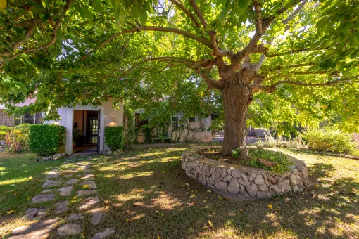 Costitx, charming finca with rental license, pool and large summer kitchen near Costitx — photo 5