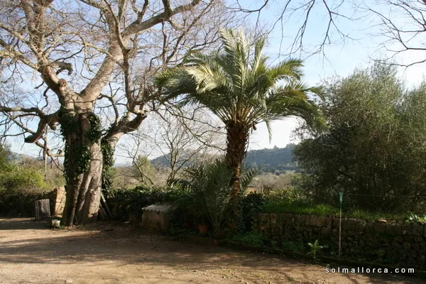 Rustic Finca for sale in Pollença, Mallorca, Baleares, Mallorca — photo 6