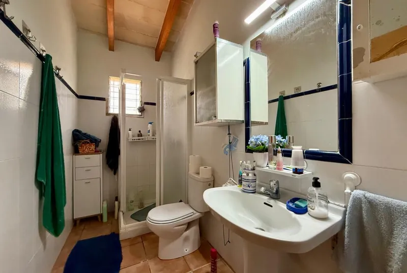 Finca with dwelling, gesa electricity and water in Manacor — photo 10