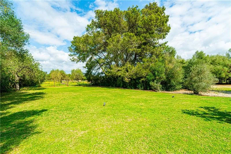 Rustic finca on a plot of approx. 22,000 m² with swimming pool. — photo 5