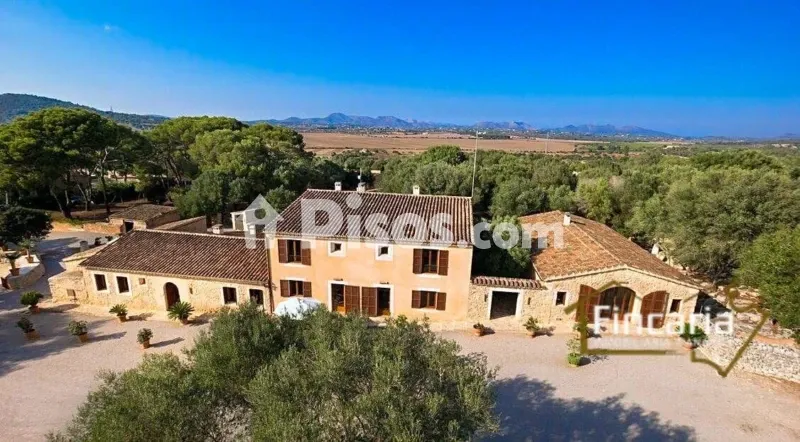 Rustic finca on the road from Manacor to Porto Cristo — photo 2