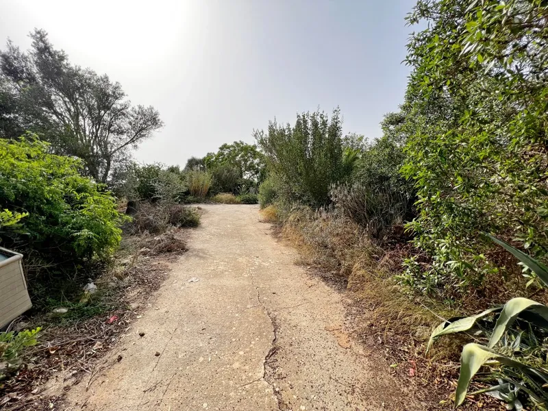 Finca to be rebuilt for sale in Felanitx Pueblo — photo 3