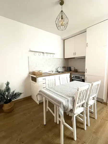 Penthouse with terrace, fully furnished and with appliances — photo 2
