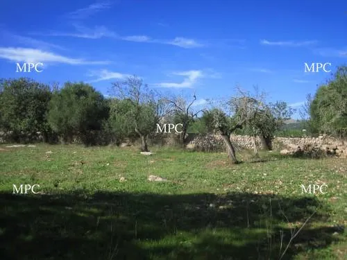 Plot of land with excellent access. Three minutes drive from Artà — photo 1