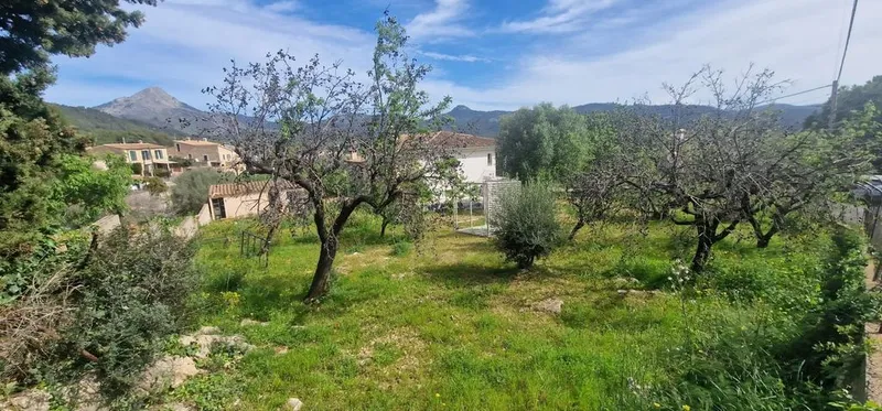 Land in Calvià, Province of Balearic Islands — photo 1