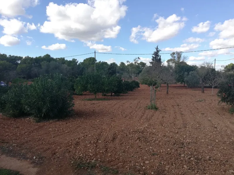 Buildable rustic plot. Fully fenced — photo 10