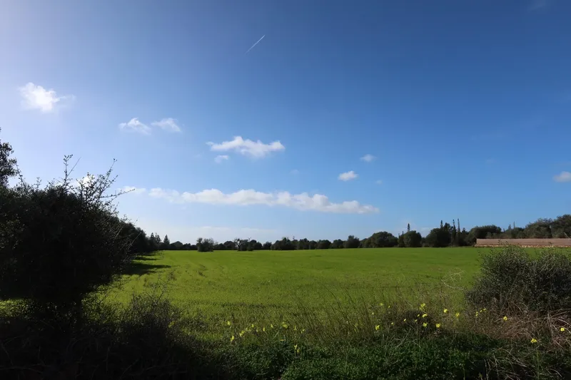 Buildable plot with great privacy in Campos – 14,625 m² — photo 11