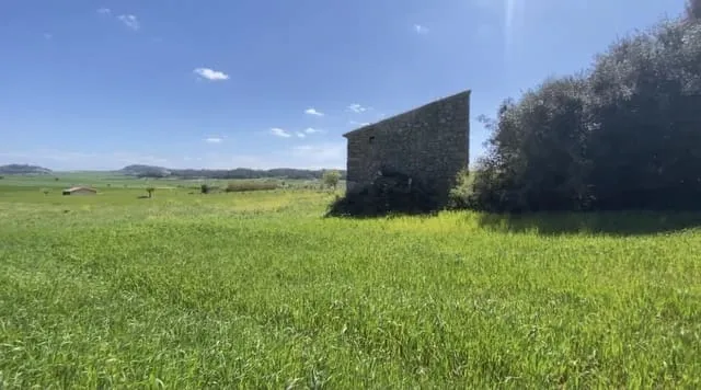 Finca/Country House for sale in Lloret de Vista Alegre — photo 9