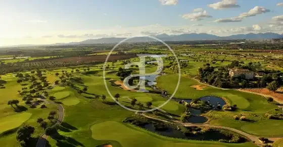 Exclusive Luxury Villa in Son Gual — photo 8