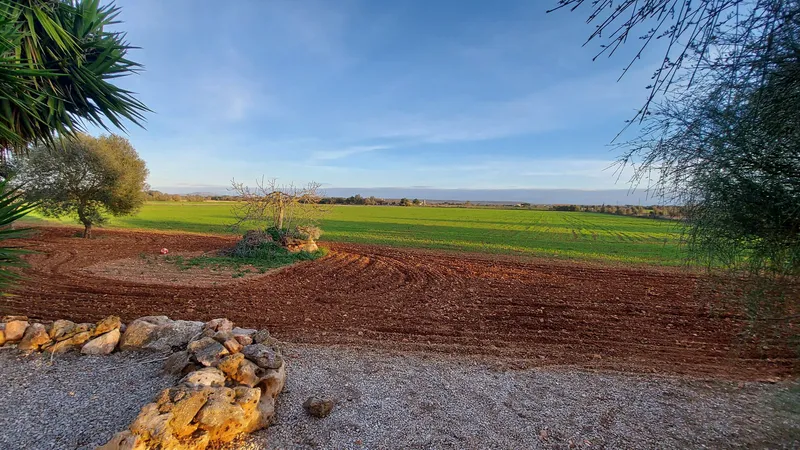 I-3080 Spectacular estate between Campos - Sa Ràpita of 85,000 m2 ideal for horses — photo 8