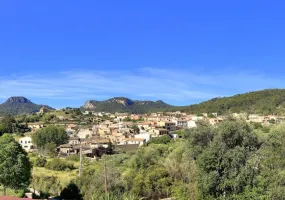 Charming Country House in Puigpunyent — photo 2