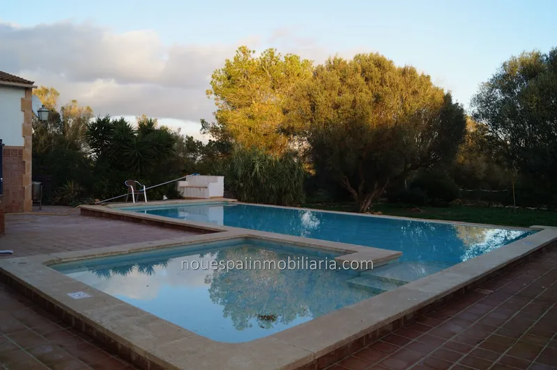 Rustic finca in Petra — photo 4