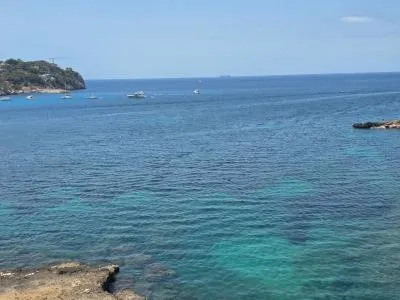 Flat in Calvià (Costa de la Calma) with 45 m², 1 bedroom, 1 bathroom, 20 m to the sea, lift and pool — photo 5