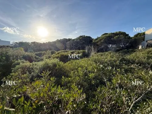 Plot of land in Font de Sa Cala on the first line to the sea — photo 1