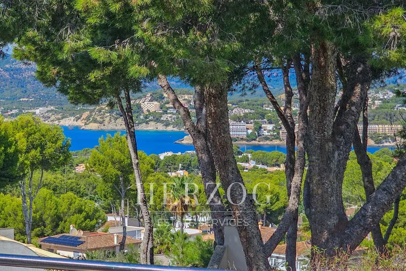 Dream villa with sea views and pool in Nova Santa Ponsa — photo 2