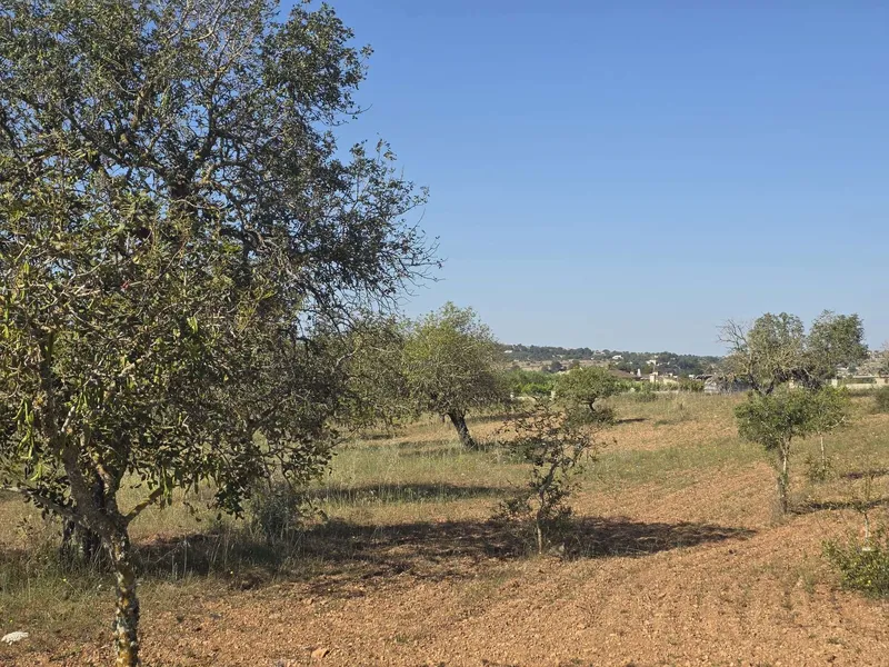 Exclusive building plot with panoramic views — photo 4
