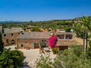 Exclusive finca with guest houses, pool and rental license — photo 4