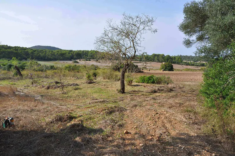 Rustic Land-plot In Sa... — photo 4