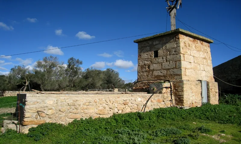 Rustic country property of 1,250,000 m² with buildings in the vicinity of Palma city — photo 5