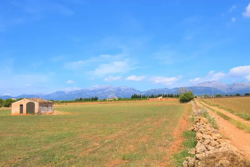 Rustic finca with wonderful views of the Serra de Tramuntana in the municipality of Llubí — photo 5