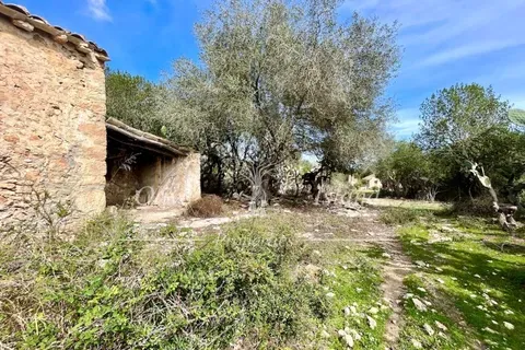 Ruin in Sineu, Mallorca — photo 10
