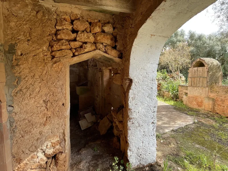 Rustic finca for full renovation with distant views of the Sierra de Tramuntana, Campos — photo 10