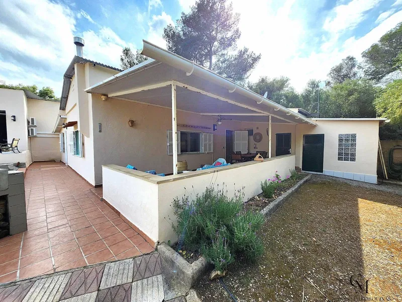 Villa for rent in Muro, Mallorca — photo 5