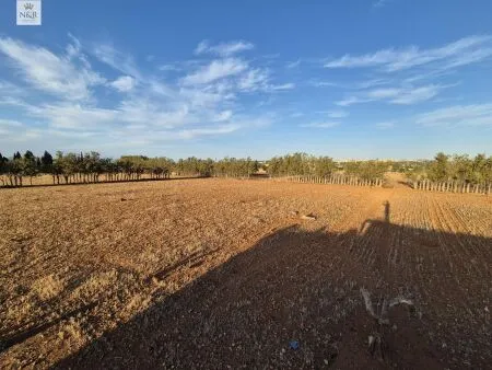 Rustic property in Muro, 140 m² built, 18,400 m² plot, 1 room, 1 bathroom — photo 6