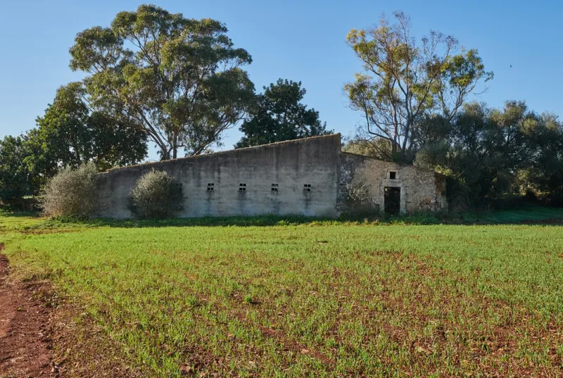 Old Mallorcan finca to renovate in Felanitx — photo 7